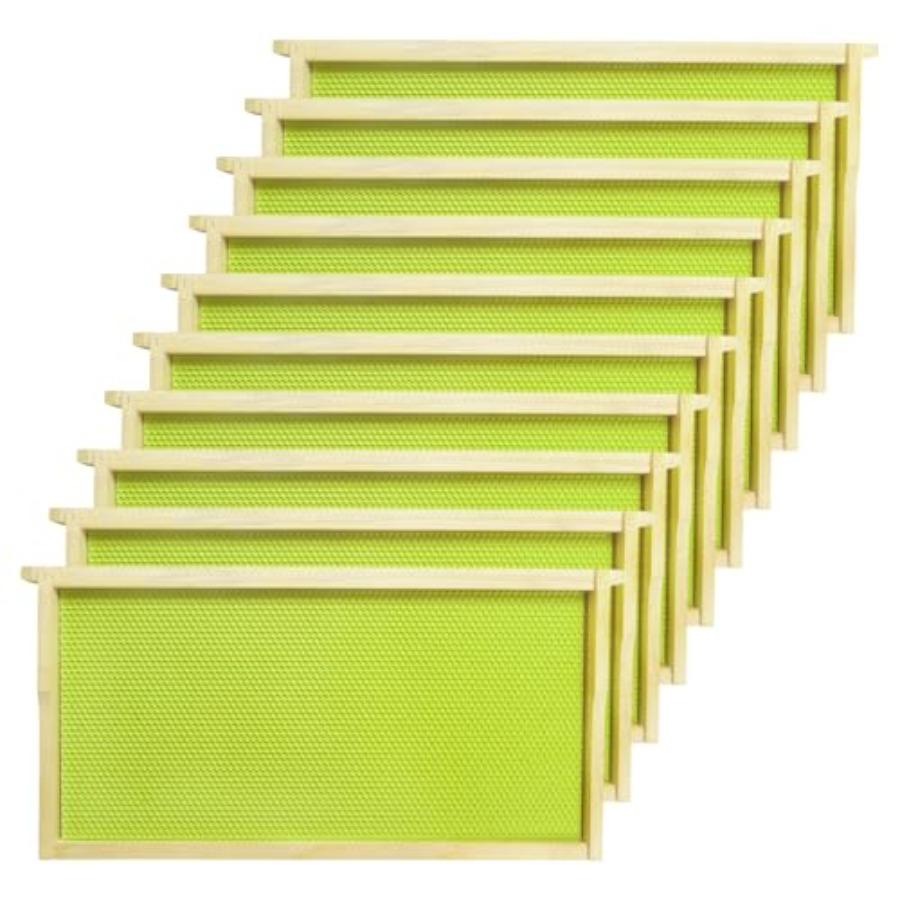 Beehive Frame Wax - 10 Pack Deep Brood Beehive Frames