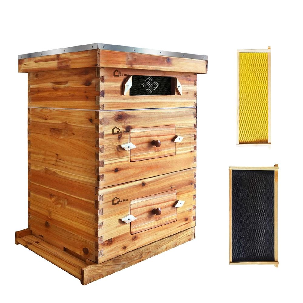 Beehive Frame Wax - 10-Frame Wax-Coated Beehive with Langstroth Honey