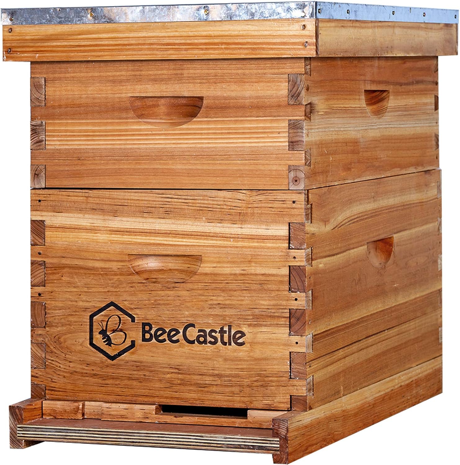 Beehive Frame Wax - 8 Frame Langstroth Bee Hive Coated