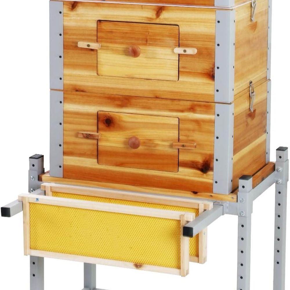 Beehive Frame Wax - 10-Frame Langstroth Beehive with Waxed Wood