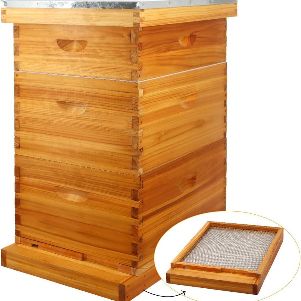 Beehive Frame Wax - 10-Frame Wax-Dipped Bottom Board Beehive Kit