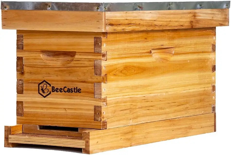 Beehive Frame Wax - 5 Frame Bee Hive Nuc Box
