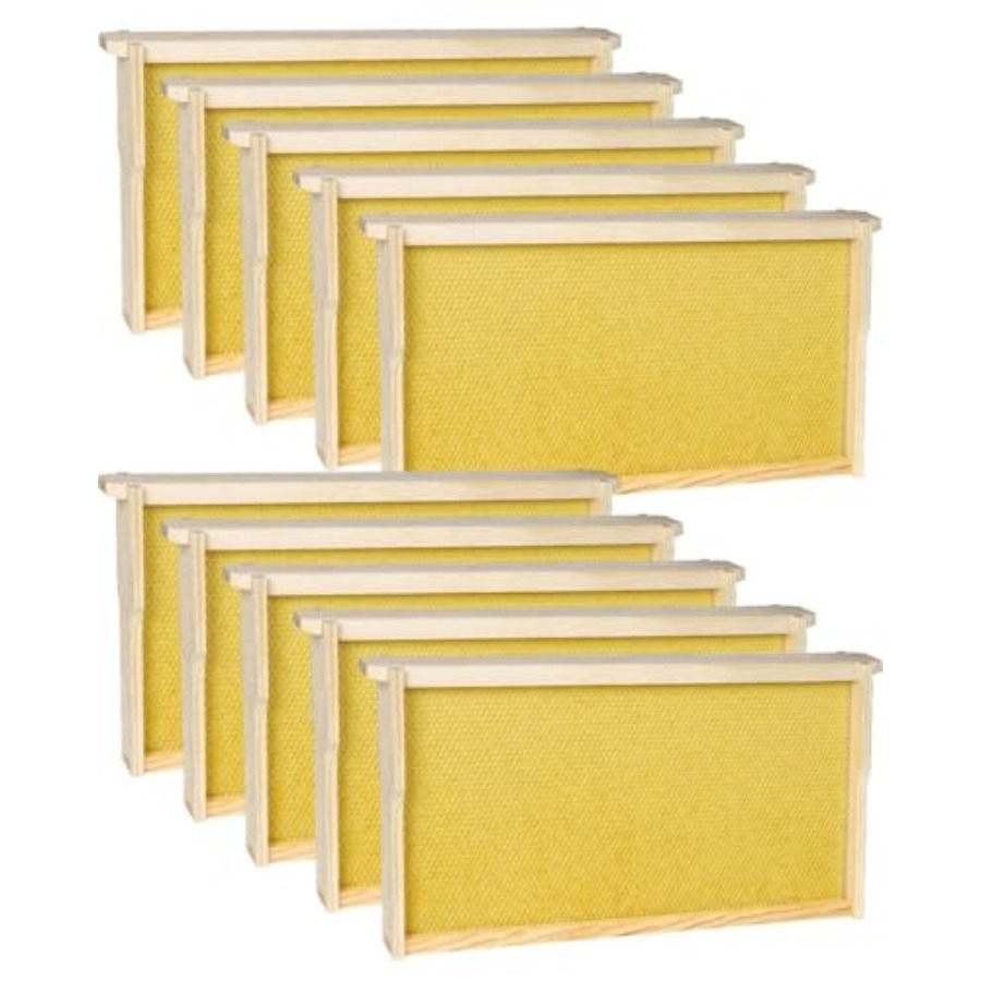 Beehive Frame Wax - vensovo 10 Pack Bee Frames Deep