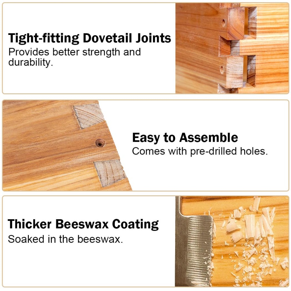10 Frame Langstroth Bee Hive C - đánh giá và giá Beehive Frame Wax