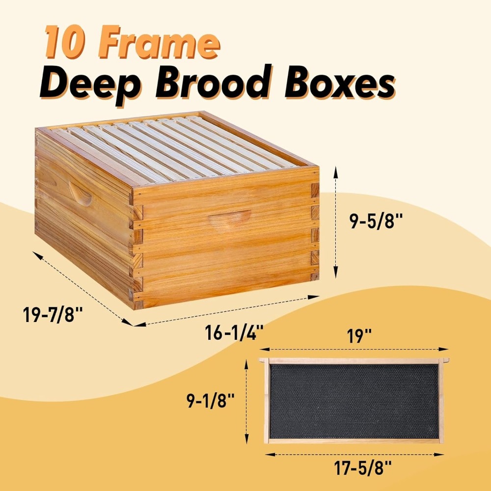 10 Frame Langstroth Bee Hive C - đánh giá và giá Beehive Frame Wax
