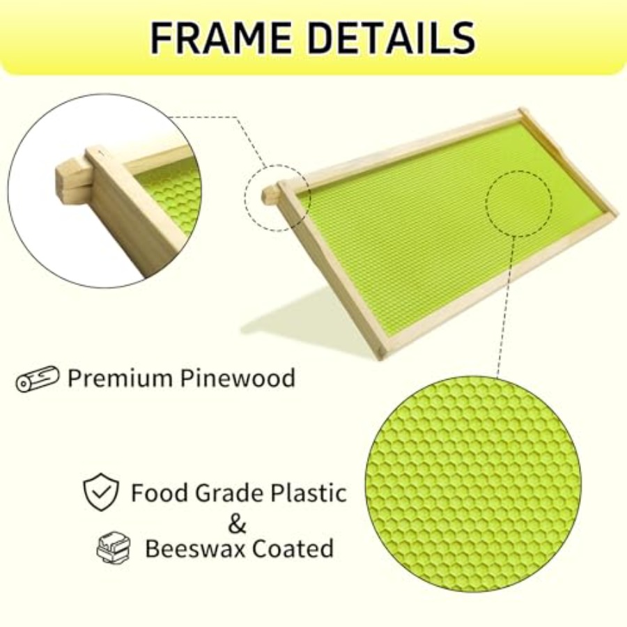 10 Pack Deep Brood Beehive Fra - đánh giá và giá Beehive Frame Wax