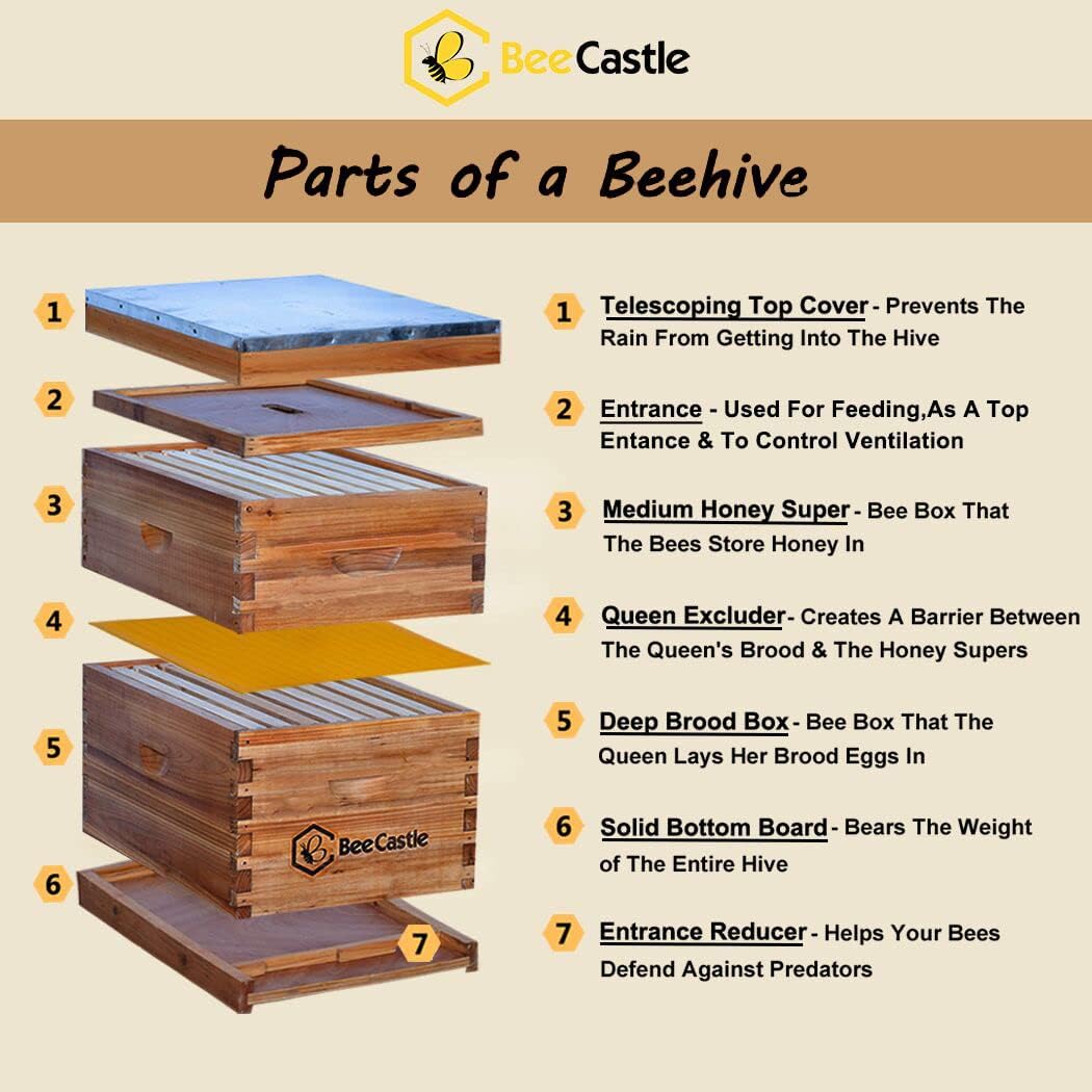 8 Frame Langstroth Bee Hive Co - đánh giá và giá Beehive Frame Wax