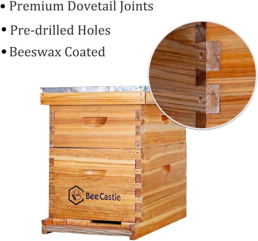8 Frame Langstroth Bee Hive Co - đánh giá và giá Beehive Frame Wax