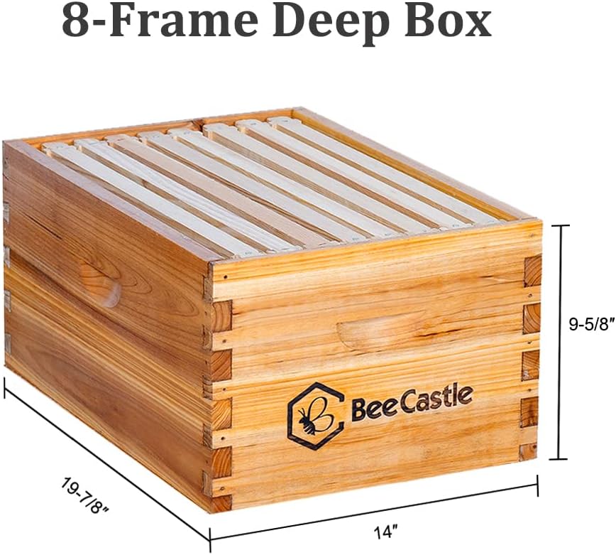 8 Frame Langstroth Bee Hive Co - đánh giá và giá Beehive Frame Wax