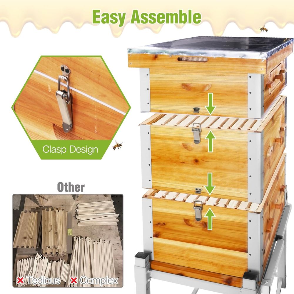 10-Frame Langstroth Beehive wi - đánh giá và giá Beehive Frame Wax