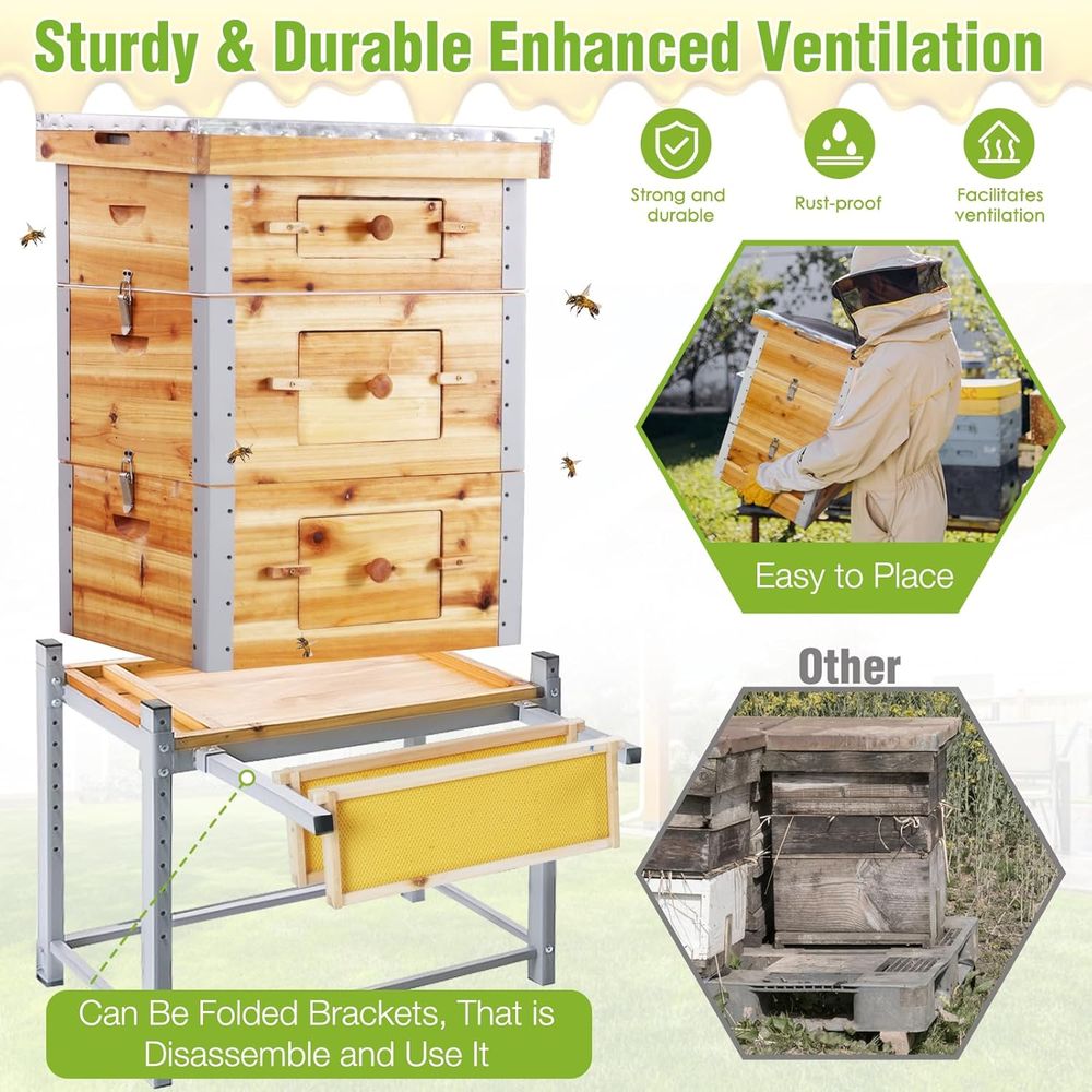 10-Frame Langstroth Beehive wi - đánh giá và giá Beehive Frame Wax