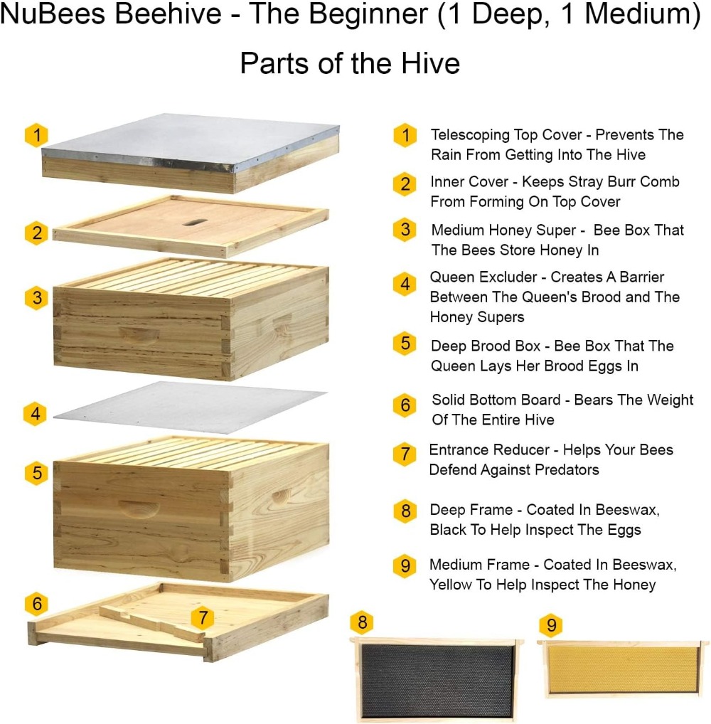 Bee Hive Complete with Frames  - đánh giá và giá Beehive Frame Wax