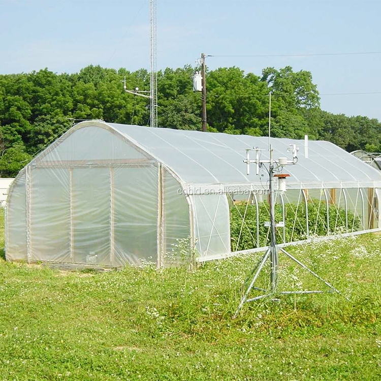 8x30 Metal Frame Commercial Si - đánh giá và giá Agriculture Tomato Farming