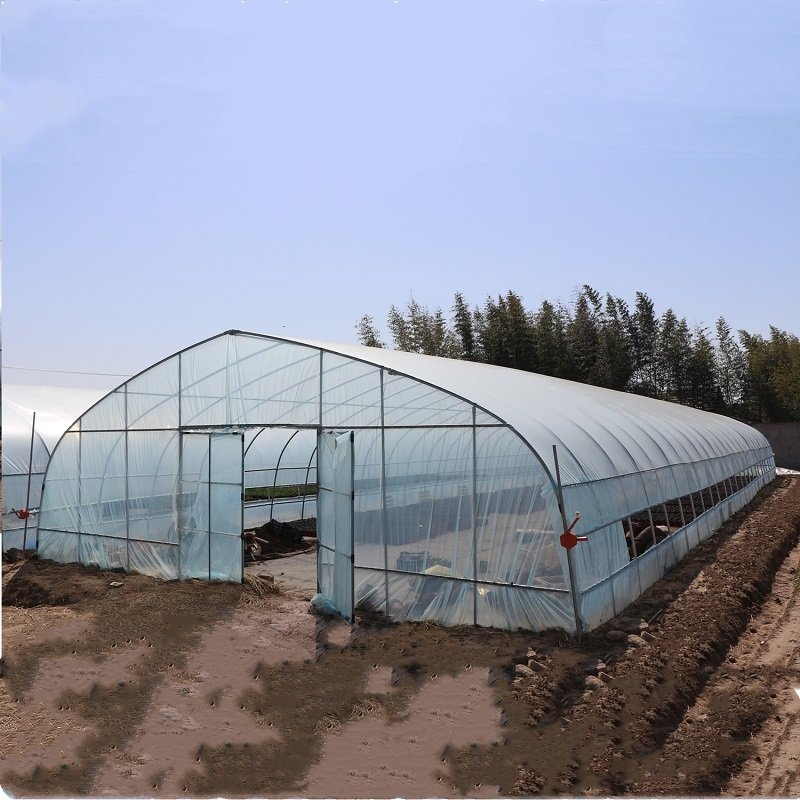 8x30 Metal Frame Commercial Si - đánh giá và giá Agriculture Tomato Farming