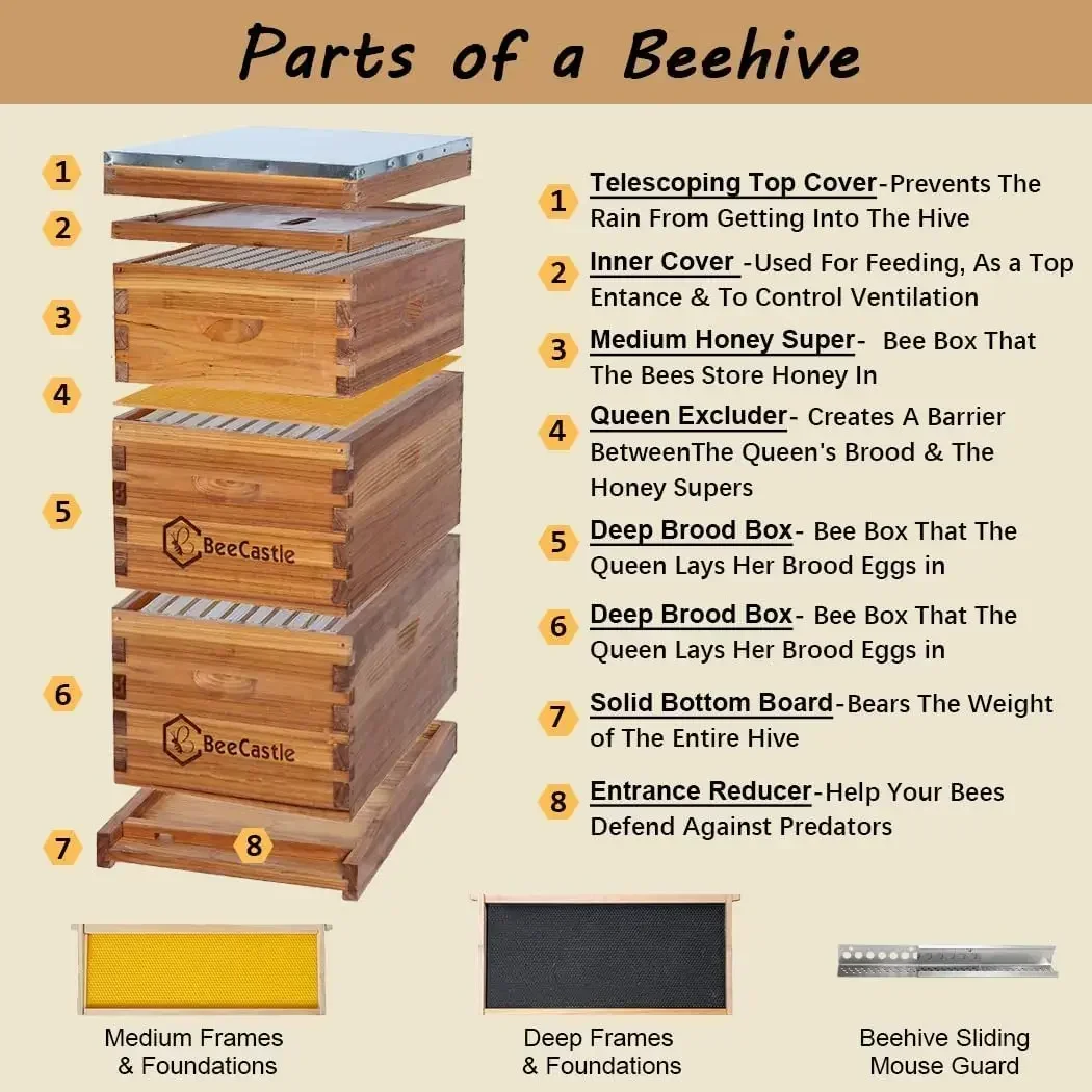[XMSJ-Limited Stock, Buy Now!] - đánh giá và giá Beehive Frame Wax