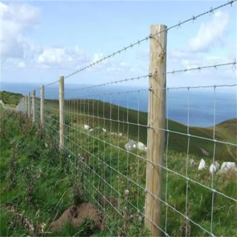 Customized Iron Wire Mesh Fixe - đánh giá và giá Agriculture Farming Usa