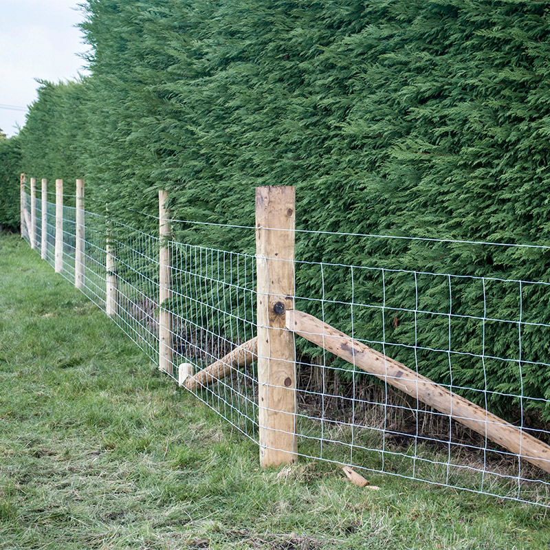 Customized Iron Wire Mesh Fixe - đánh giá và giá Agriculture Farming Usa