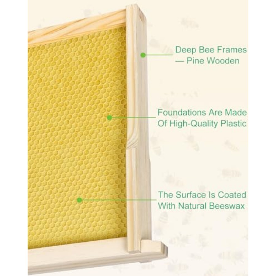 vensovo 10 Pack Bee Frames Dee - đánh giá và giá Beehive Frame Wax