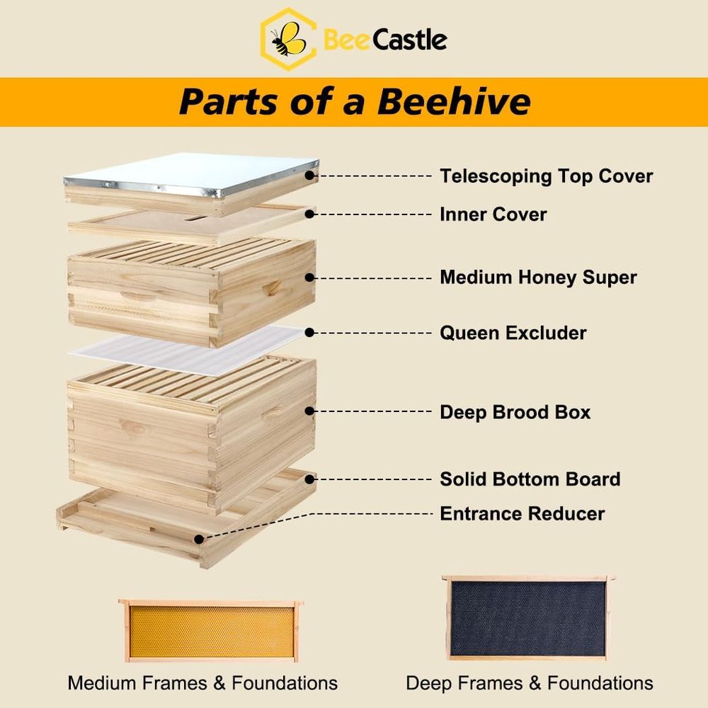 Beginner's Complete Langstroth - đánh giá và giá Beehive Frame Wax