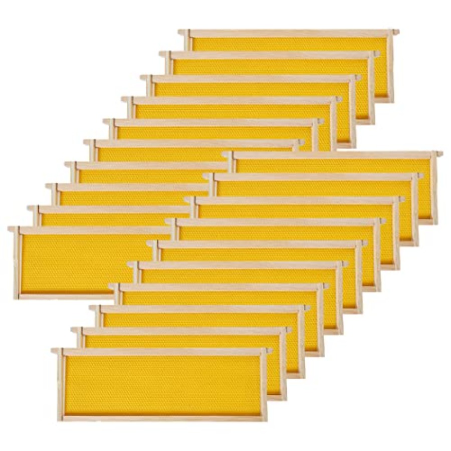 BeeCastle 20 Pack Medium Beehi - đánh giá và giá Beehive Frame Wax