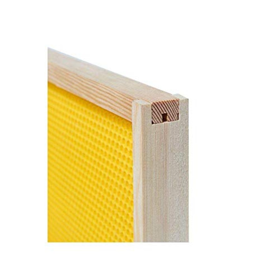 BeeCastle 20 Pack Medium Beehi - đánh giá và giá Beehive Frame Wax
