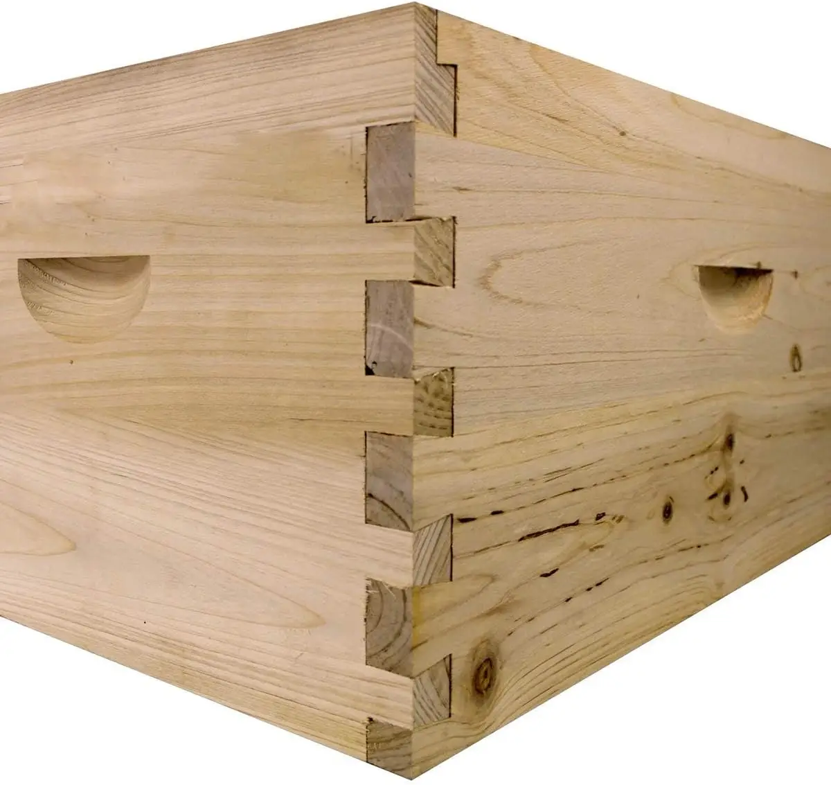 NuBee 8-Frame Beehive Kit – Co - đánh giá và giá Beehive Frame Wax