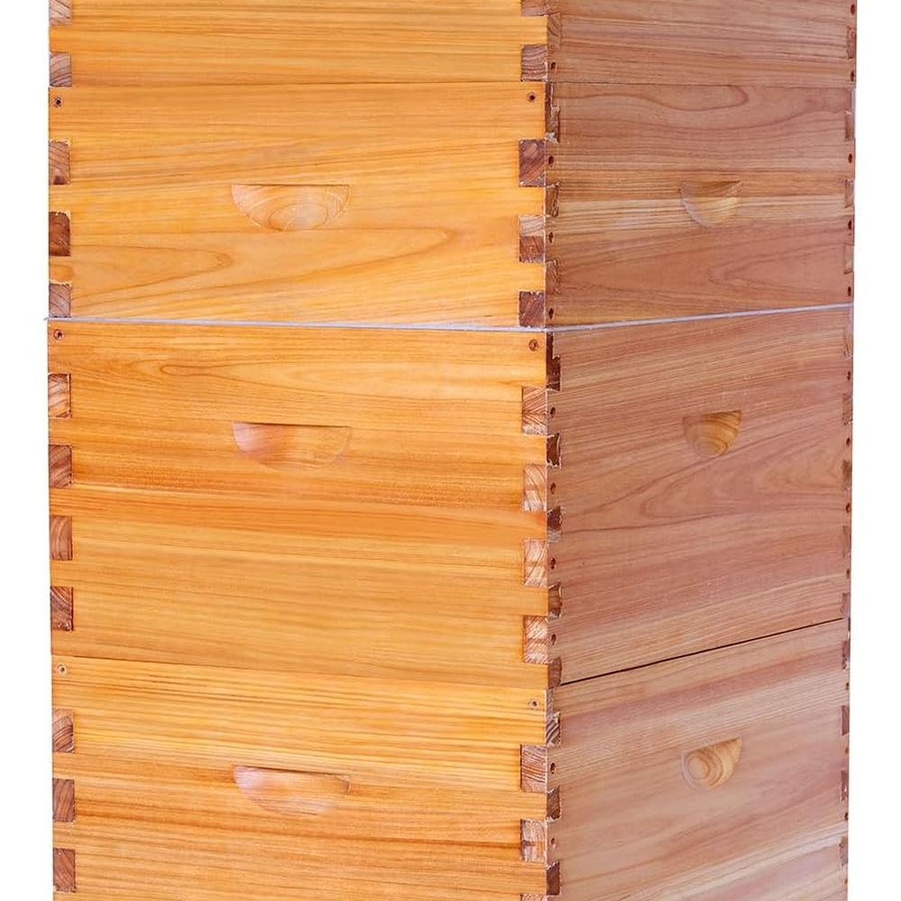 Complete Langstroth Beehive Se - đánh giá và giá Beehive Frame Wax