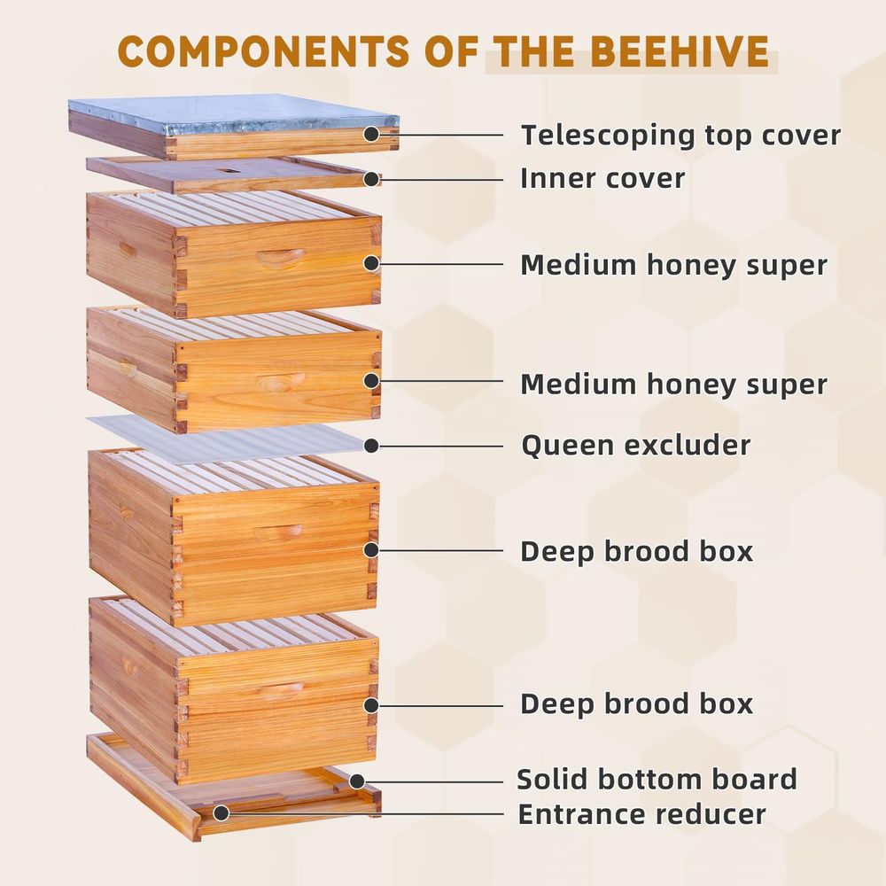 Complete Langstroth Beehive Se - đánh giá và giá Beehive Frame Wax