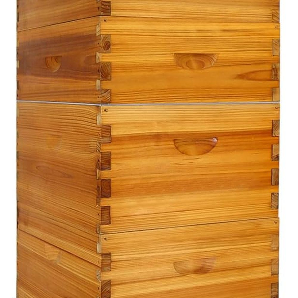 Langstroth Beehive Kit: 10 Wax - đánh giá và giá Beehive Frame Wax