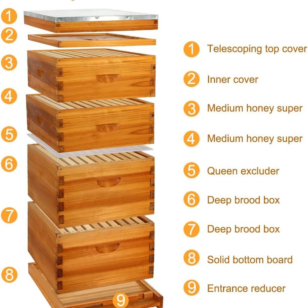 Langstroth Beehive Kit: 10 Wax - đánh giá và giá Beehive Frame Wax