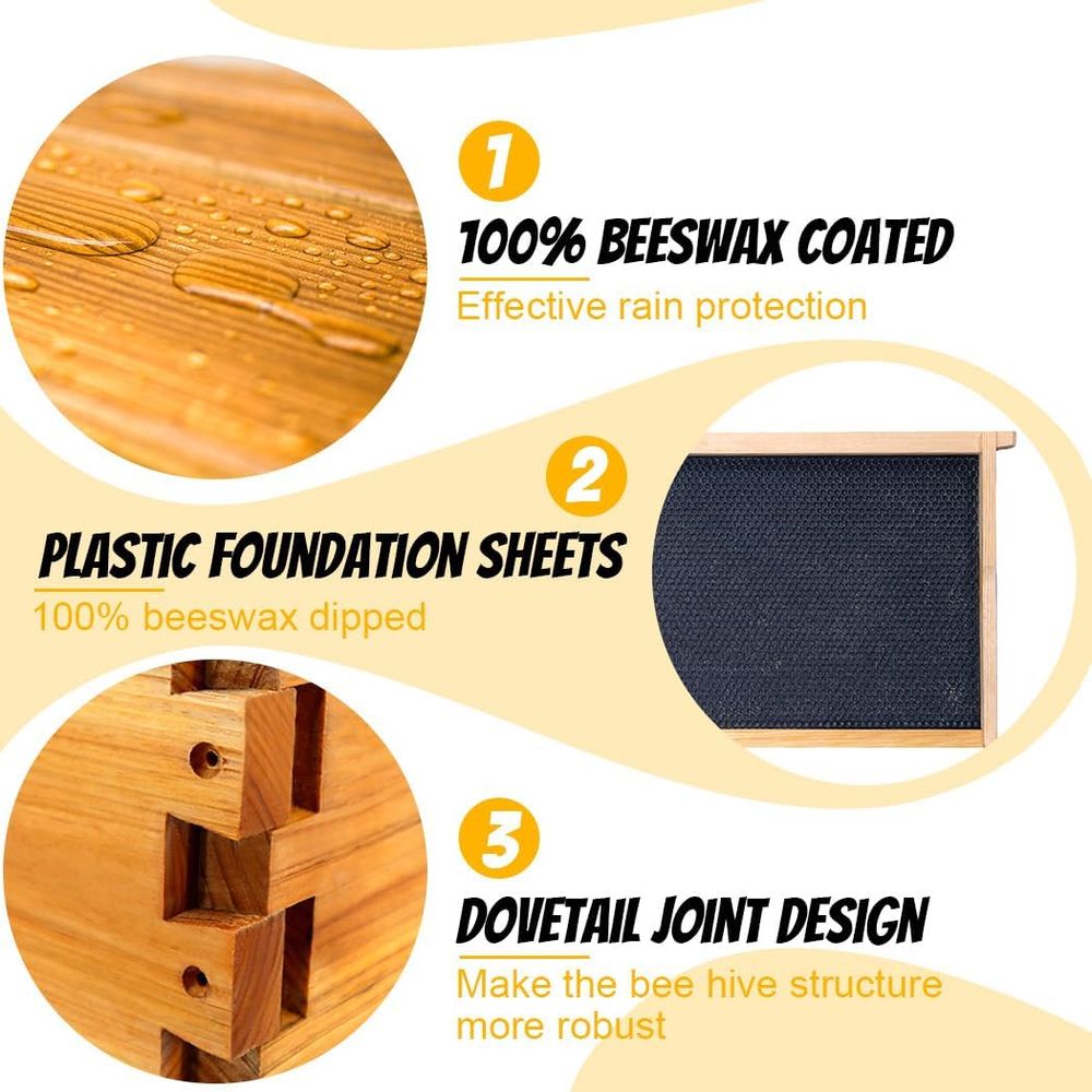 Langstroth Beehive Kit: 10 Wax - đánh giá và giá Beehive Frame Wax