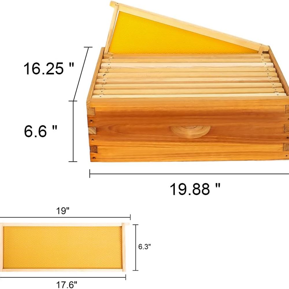 Langstroth Beehive Kit: 10 Wax - đánh giá và giá Beehive Frame Wax
