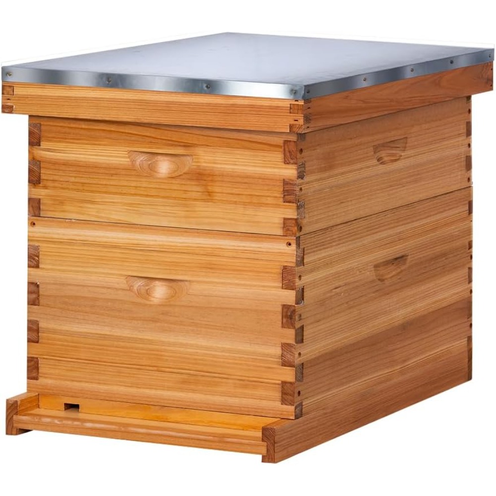 POLLI-BEE 10-Frame Bee Hive Ki - đánh giá và giá Beehive Frame Wax