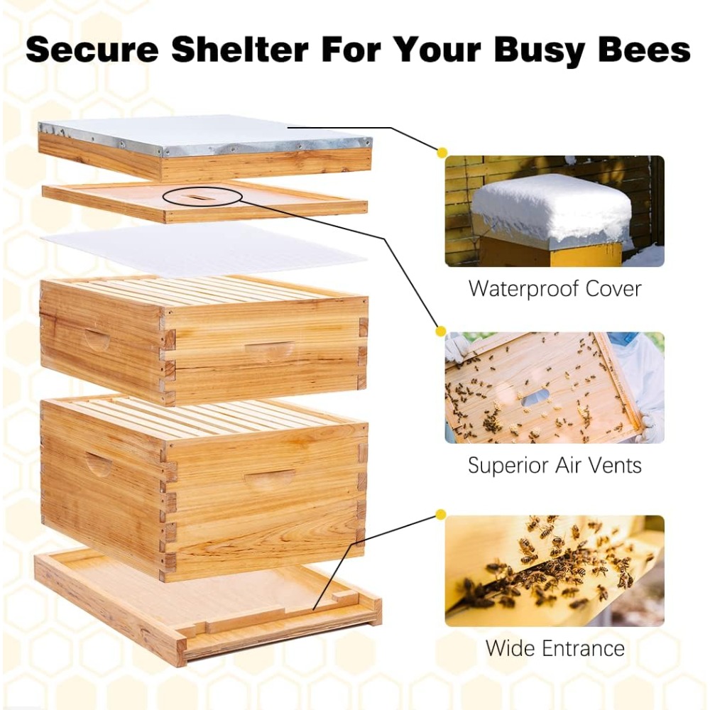 POLLI-BEE 10-Frame Bee Hive Ki - đánh giá và giá Beehive Frame Wax