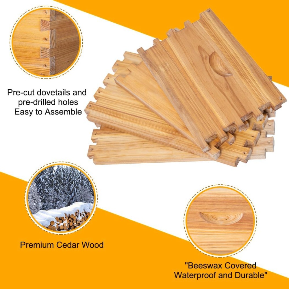 POLLI-BEE 10-Frame Bee Hive Ki - đánh giá và giá Beehive Frame Wax