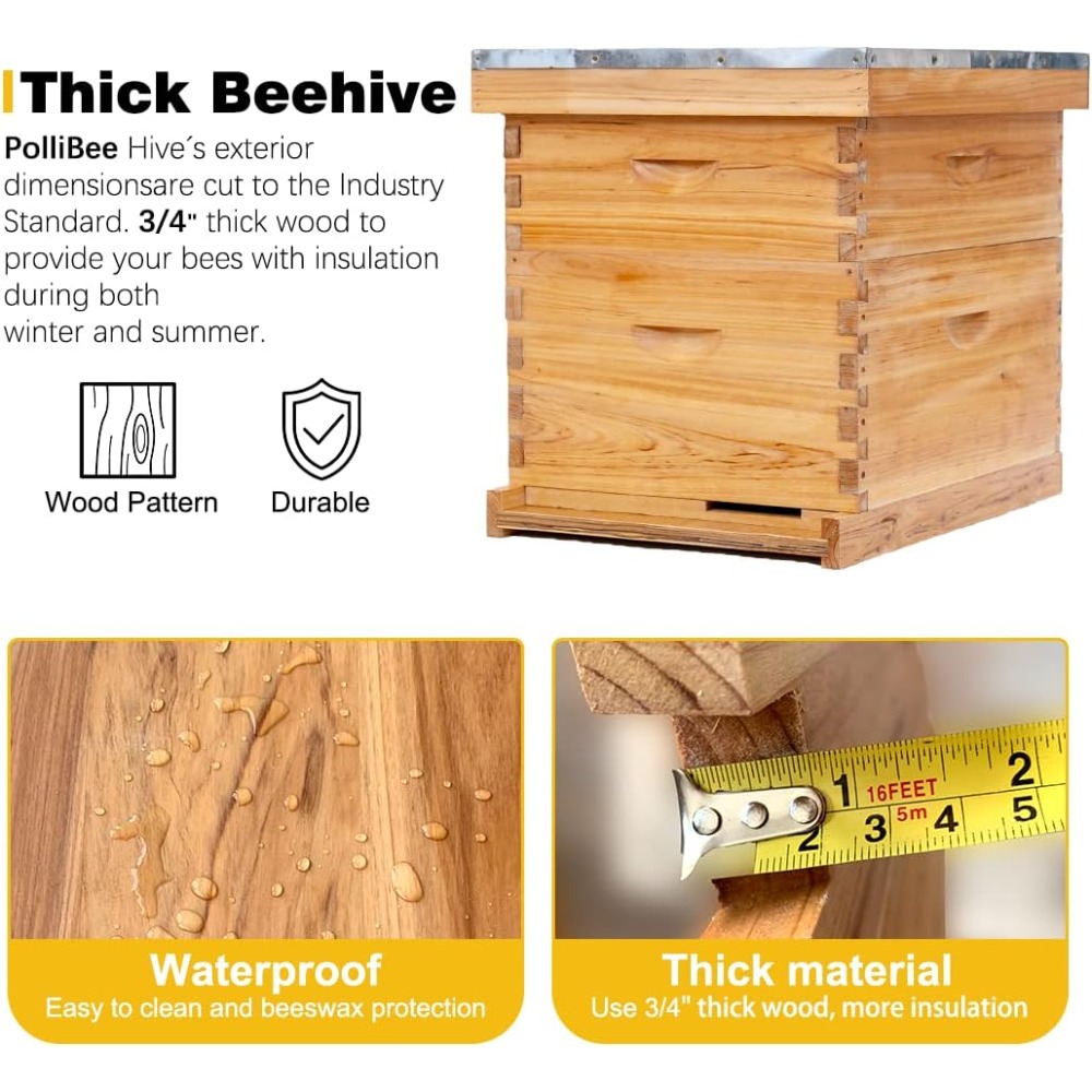 POLLI-BEE 10-Frame Bee Hive Ki - đánh giá và giá Beehive Frame Wax