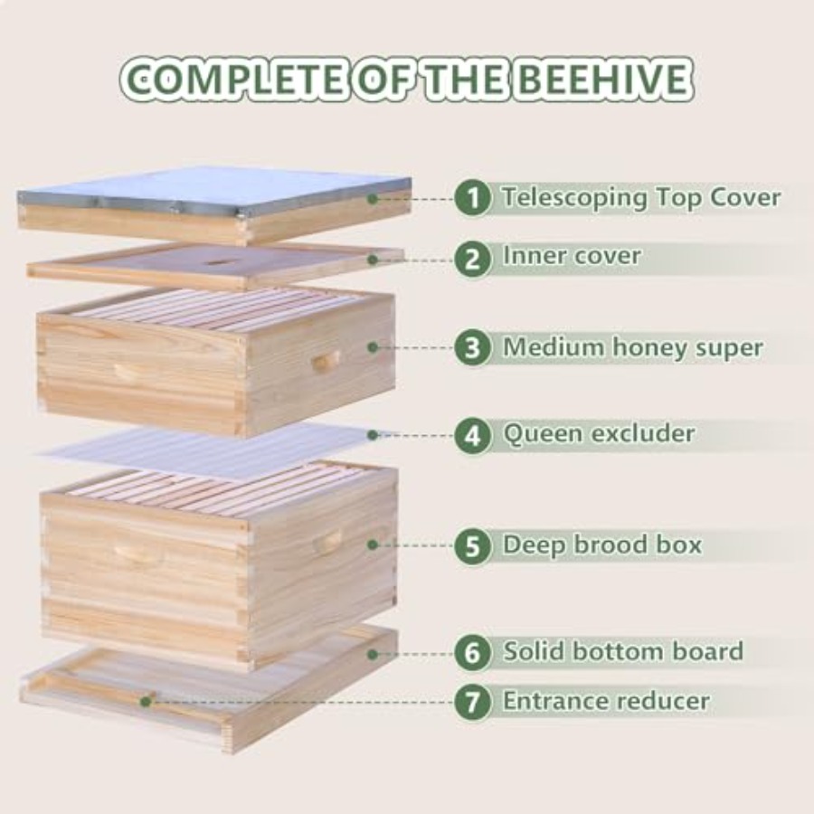 Beekeeping starter kit: wooden - đánh giá và giá Beehive Frame Wax