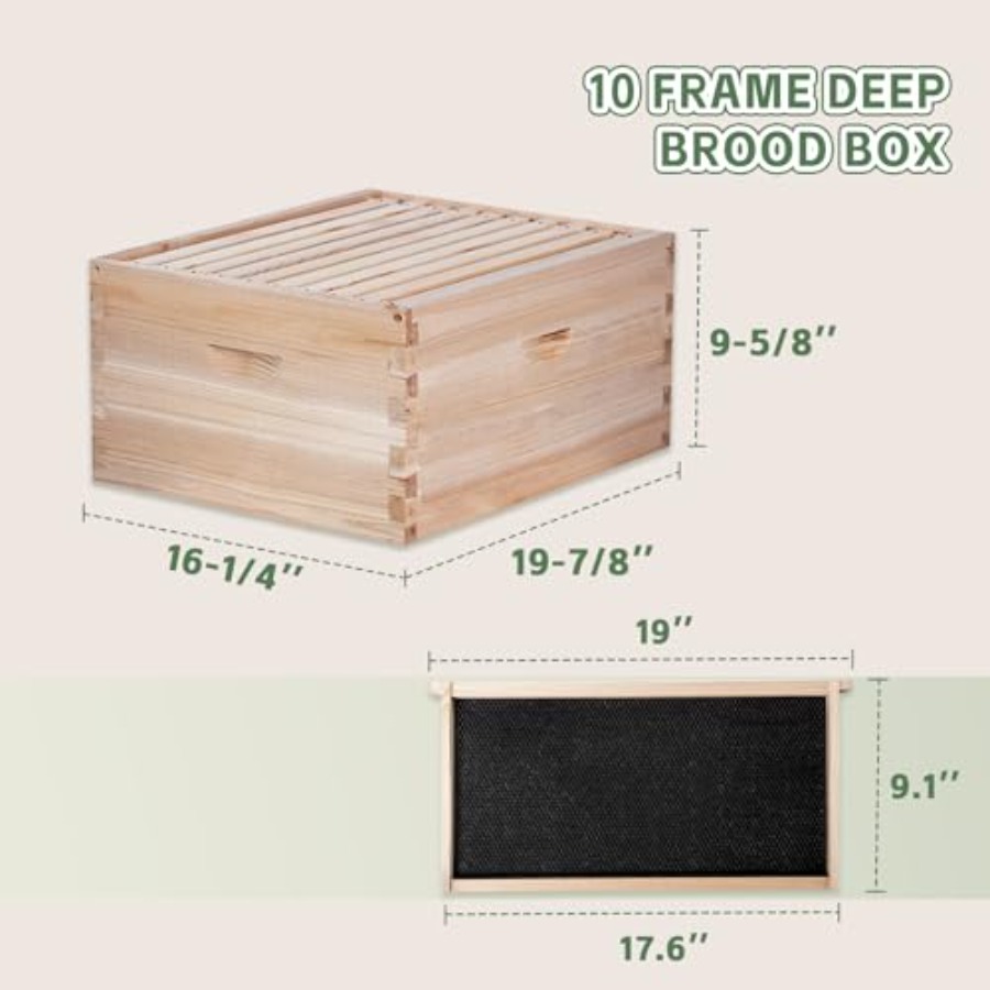 Beekeeping starter kit: wooden - đánh giá và giá Beehive Frame Wax