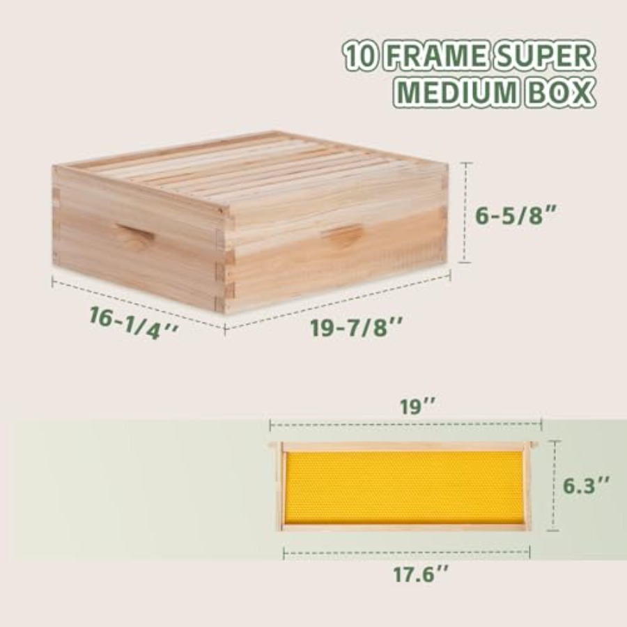 Beekeeping starter kit: wooden - đánh giá và giá Beehive Frame Wax
