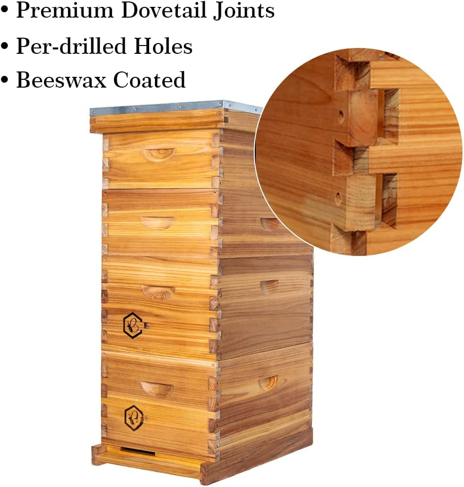 8 Frame Langstroth Bee Hive Co - đánh giá và giá Beehive Frame Wax