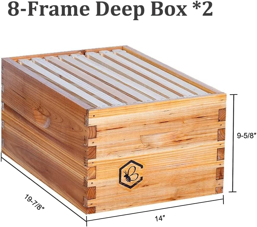 8 Frame Langstroth Bee Hive Co - đánh giá và giá Beehive Frame Wax