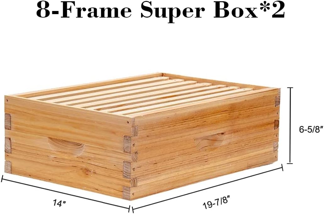 8 Frame Langstroth Bee Hive Co - đánh giá và giá Beehive Frame Wax