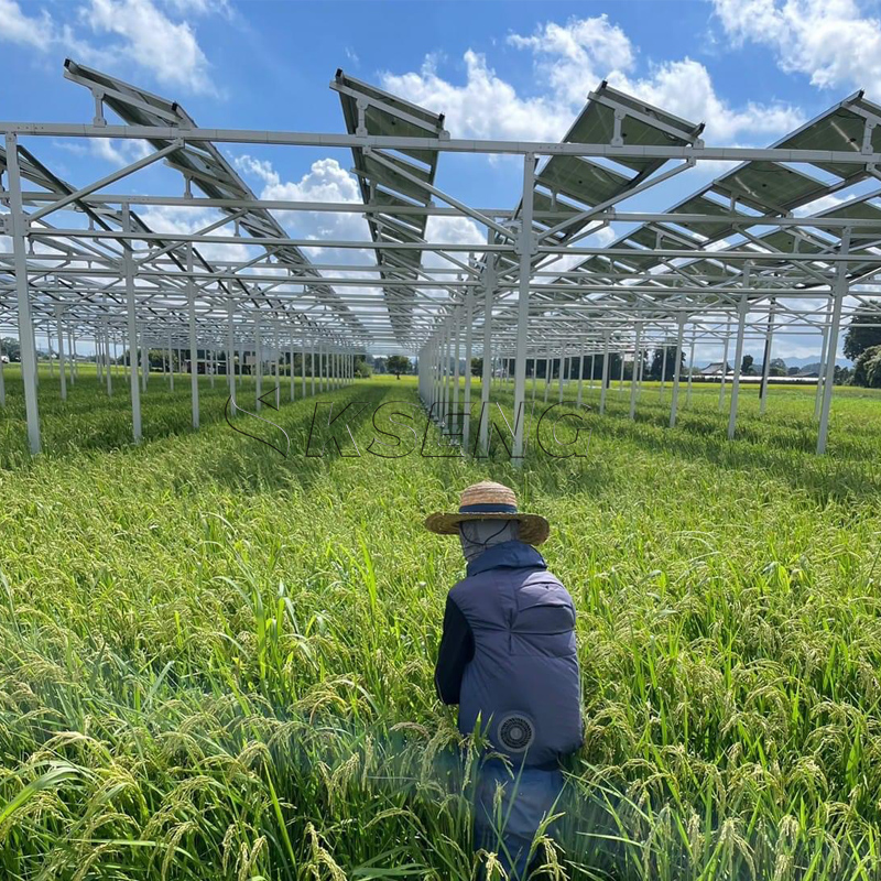 Japan`s New Agriculture Alumin - đánh giá và giá Agriculture Farming News