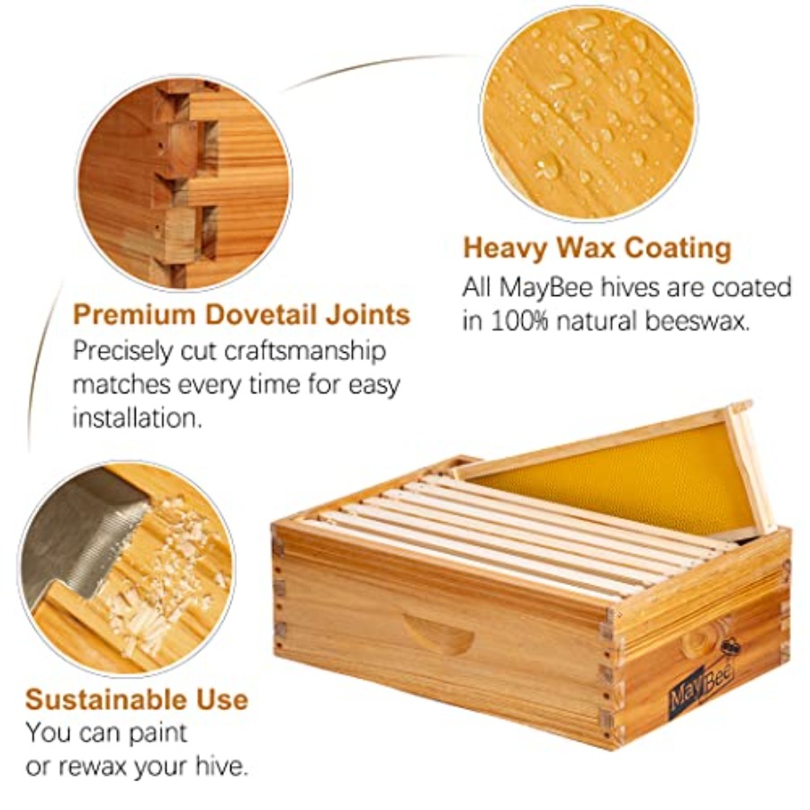 8-Frame Beehive Box Langstroth - đánh giá và giá Beehive Frame Wax