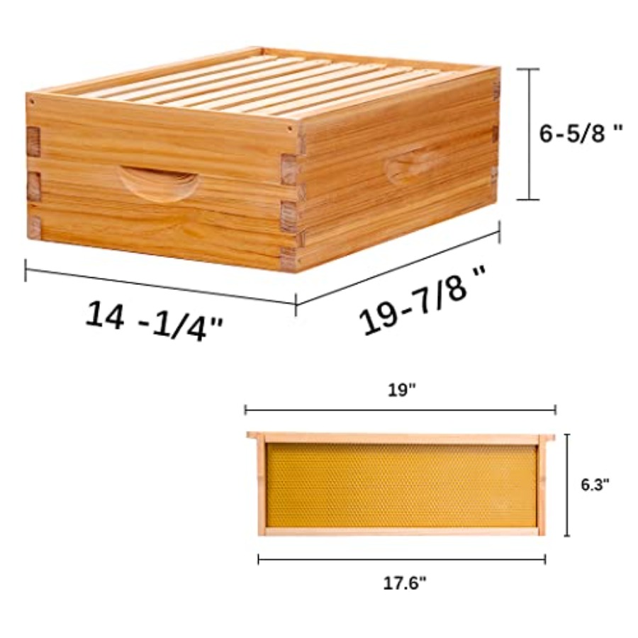 8-Frame Beehive Box Langstroth - đánh giá và giá Beehive Frame Wax