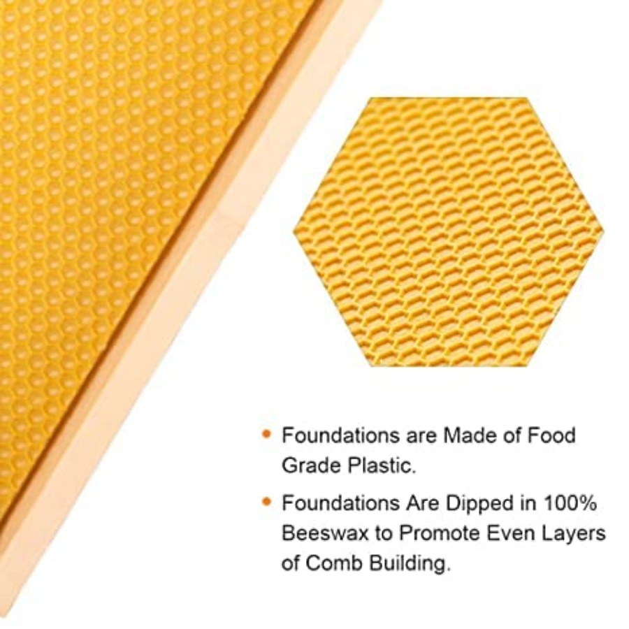 8-Frame Beehive Box Langstroth - đánh giá và giá Beehive Frame Wax